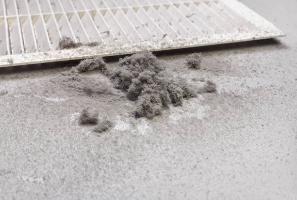 Best Local Air Duct Cleaning Services  in Wickes, AR