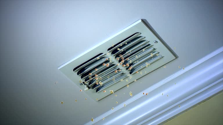 Best Best Air Duct Cleaning Company  in Wickes, AR