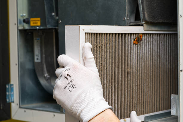 Best Affordable Duct Cleaning Services  in Wickes, AR