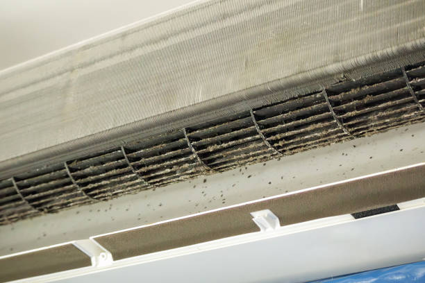 Best Ventilation Cleaning Services  in Wickes, AR