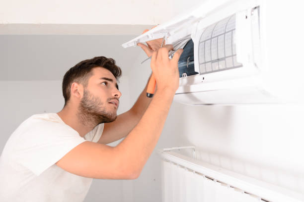 Best Air Duct Mold Removal  in Wickes, AR